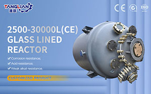 2500-30000L CE Type Glass Lined Reactor