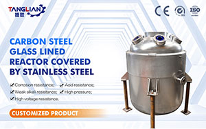 carbon steel glass lined reactor covered by stainless steel