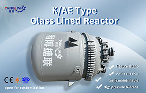 K/AE Type 10000L Glass Lined Reactor 