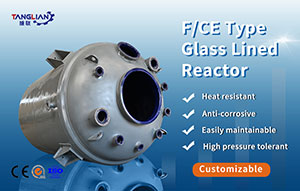 F / CE Type Glass Lined Reactor 