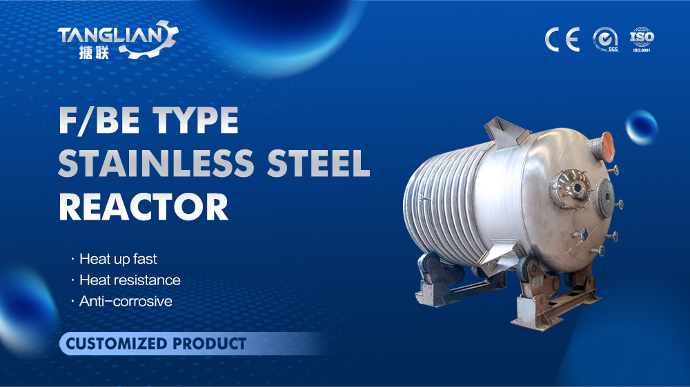 F/BE Type stainless steel reactor for ch