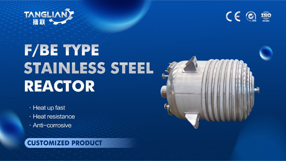 F/BE Type stainless steel reactor